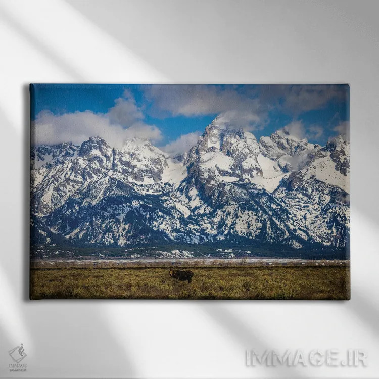 تابلو گوزن بزرگ تنها در کوههای تیتون اثر الکس جی پرز - نمای روبهرو روی دیوار