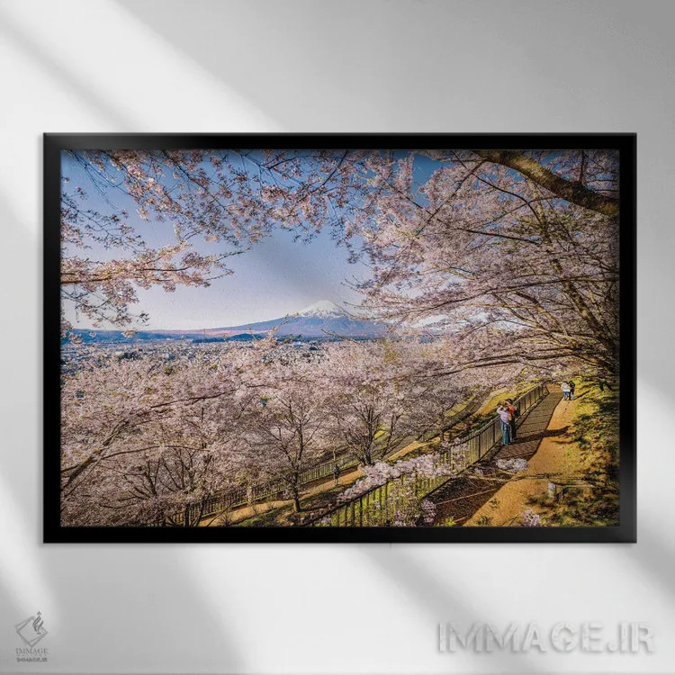 تابلو Lake Kawaguchi V,منظره کوه فوجی از میان درختان شکوفه گیلاس کنار دریاچه کاواگوچی (۵) اثر الکس جی پرز - نمای قابدار مشکی