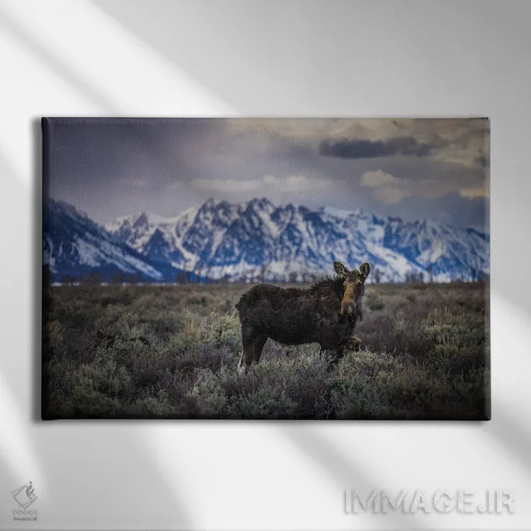 تابلو گوزن بزرگ تیتون (۱) اثر الکس جی پرز - نمای روبهرو روی دیوار