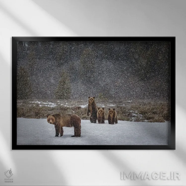 تابلو خانواده خرس گریزلی در کوههای بزرگ تیتون (۱) اثر الکس جی پرز - نمای قابدار مشکی