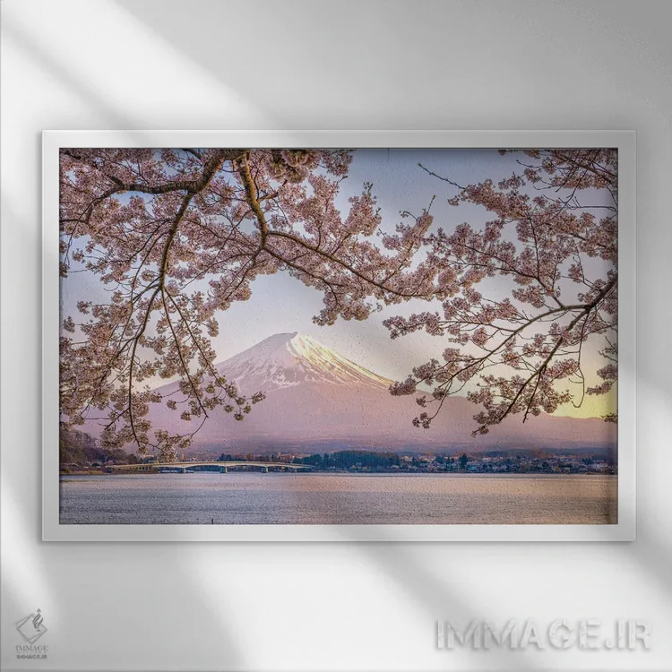 تابلو Lake Kawaguchi I,منظره کوه فوجی از میان درختان شکوفه گیلاس کنار دریاچه کاواگوچی (۱) اثر الکس جی پرز - نمای قابدار سفید