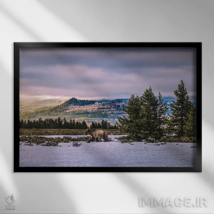 تابلو خانواده خرس گریزلی در کوههای بزرگ تیتون (۴) اثر الکس جی پرز - نمای قابدار مشکی