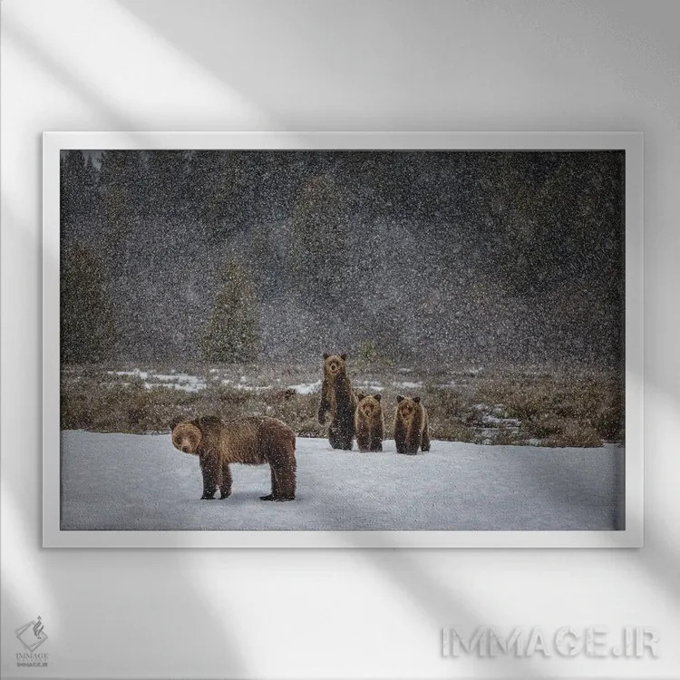 تابلو خانواده خرس گریزلی در کوههای بزرگ تیتون (۱) اثر الکس جی پرز - نمای قابدار سفید