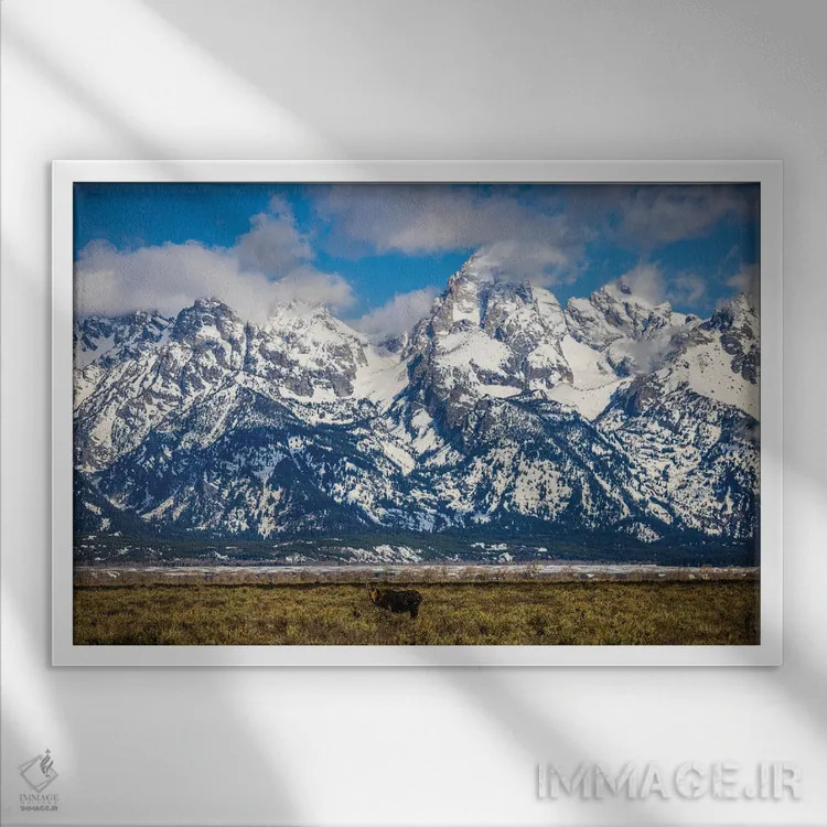 تابلو گوزن بزرگ تنها در کوههای تیتون اثر الکس جی پرز - نمای قابدار سفید