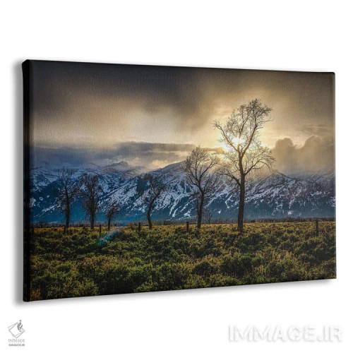تابلو درختان هنگام غروب گرند تیتون اثر الکس جی پرز - نمای پرسپکتیو محصول