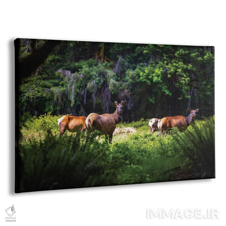 تابلو گوزن پارک ملی المپیک شماره ۲ اثر الکس جی پرز - نمای پرسپکتیو محصول