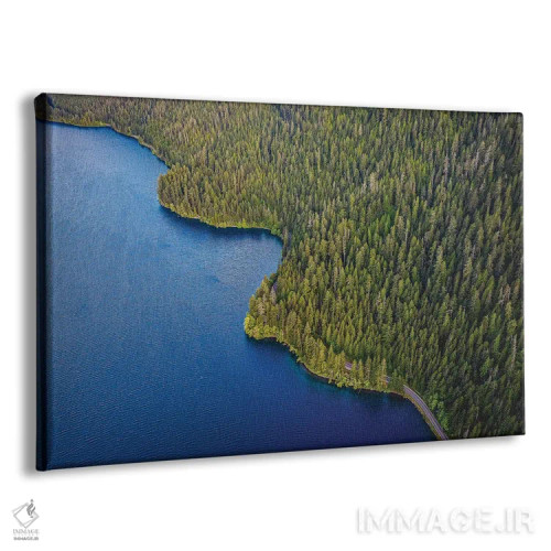 تابلو دریاچه پارک ملی المپیک شماره ۳ اثر الکس جی پرز - نمای پرسپکتیو محصول
