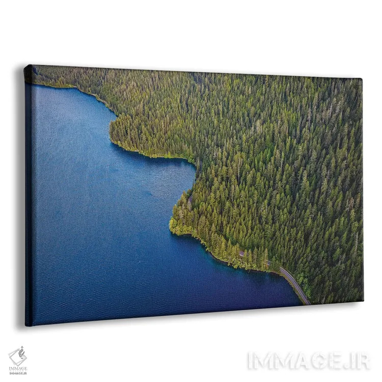 تابلو دریاچه پارک ملی المپیک شماره ۳ اثر الکس جی پرز - نمای پرسپکتیو محصول