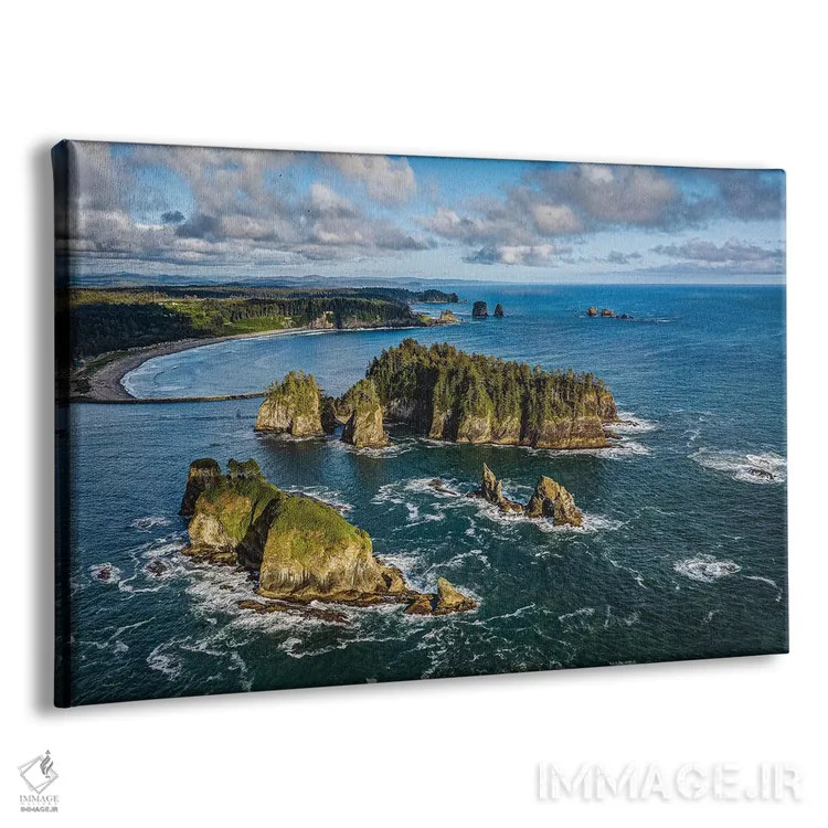 تابلو ساحل غربی پارک ملی المپیک شماره ۲ اثر الکس جی پرز - نمای پرسپکتیو محصول