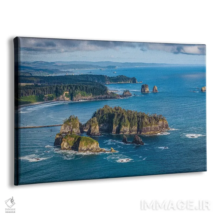 تابلو ساحل غربی پارک ملی المپیک شماره ۱ اثر الکس جی پرز - نمای پرسپکتیو محصول