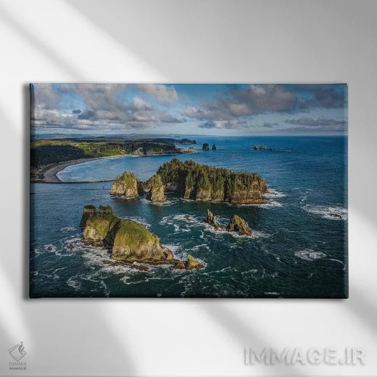 تابلو ساحل غربی پارک ملی المپیک شماره ۲ اثر الکس جی پرز - نمای روبهرو روی دیوار