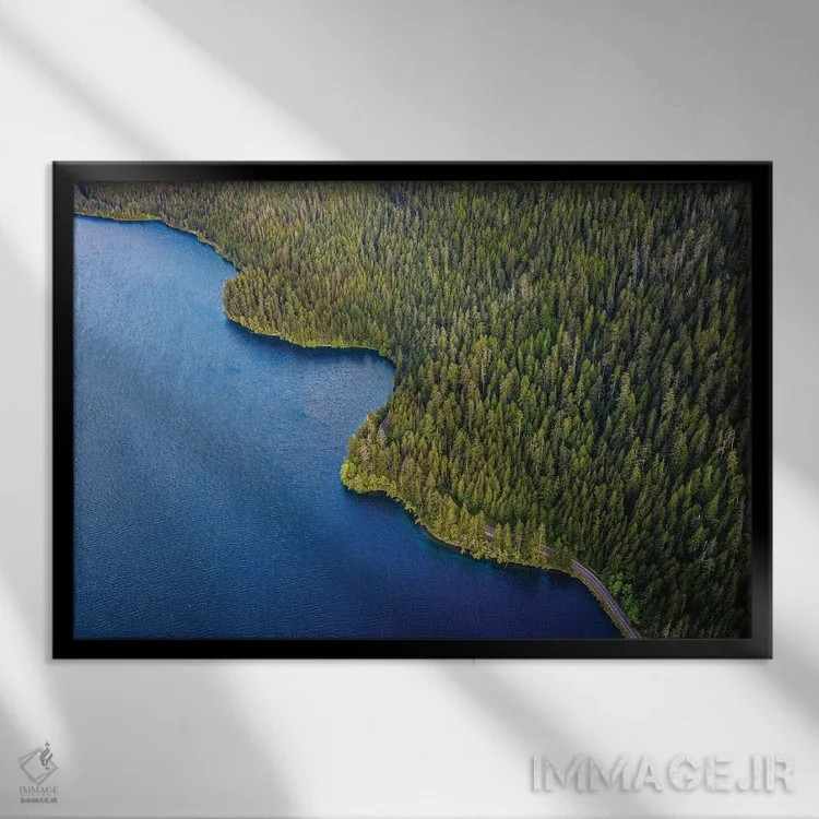 تابلو دریاچه پارک ملی المپیک شماره ۳ اثر الکس جی پرز - نمای قابدار مشکی