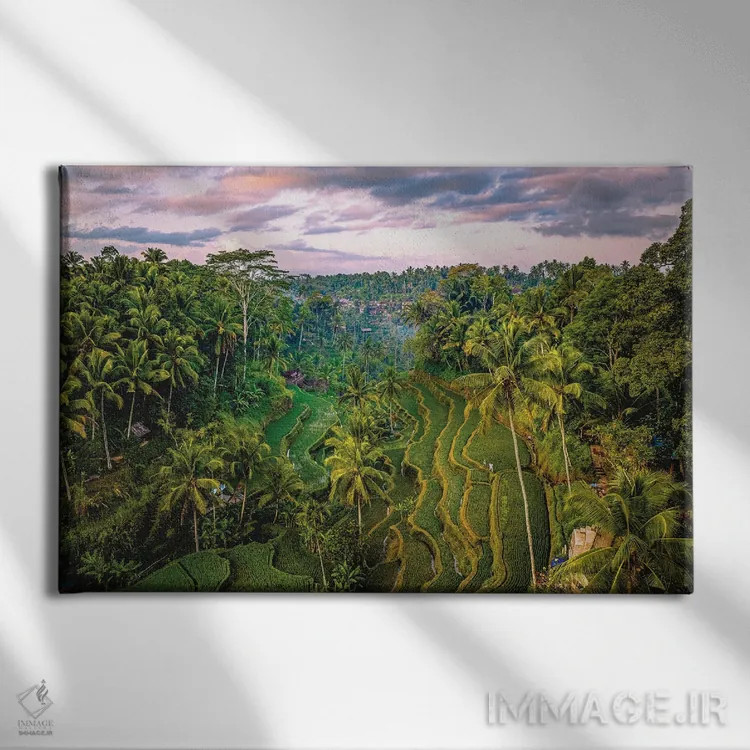 تابلو تراس برنج موپو در بالی اندونزی شماره ۱ اثر الکس جی پرز - نمای روبهرو روی دیوار