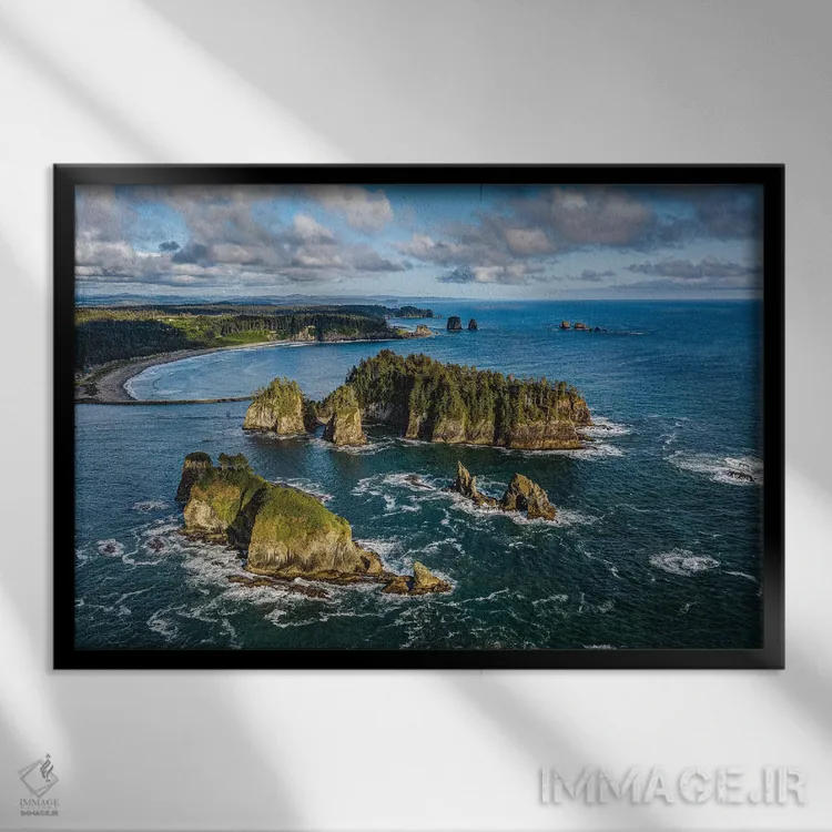 تابلو ساحل غربی پارک ملی المپیک شماره ۲ اثر الکس جی پرز - نمای قابدار مشکی