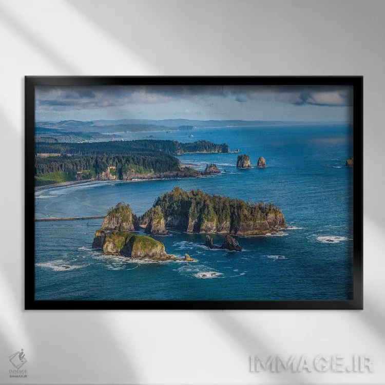 تابلو ساحل غربی پارک ملی المپیک شماره ۱ اثر الکس جی پرز - نمای قابدار مشکی