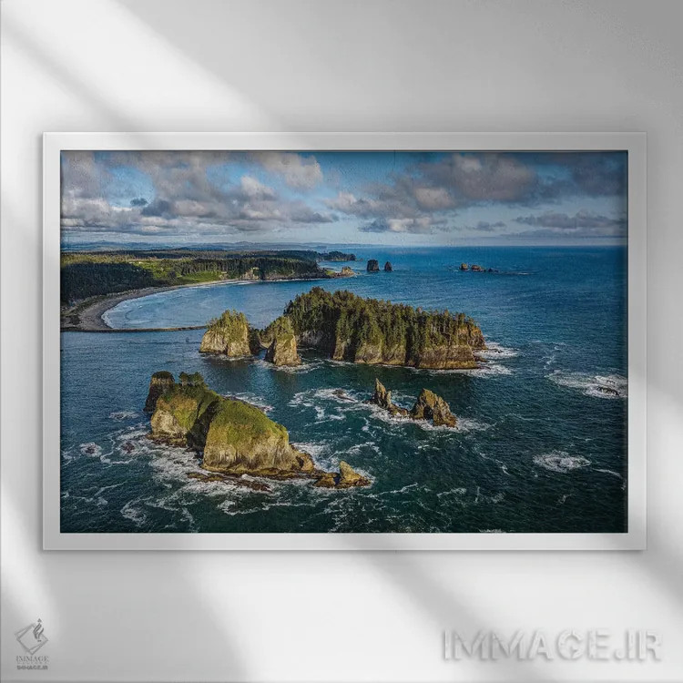 تابلو ساحل غربی پارک ملی المپیک شماره ۲ اثر الکس جی پرز - نمای قابدار سفید