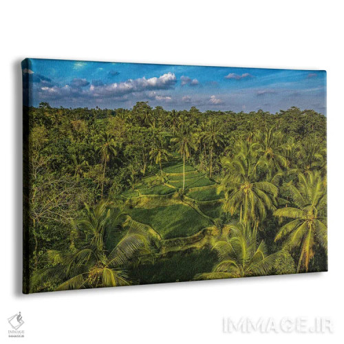 تابلو تراس زیبای برنج اندونزی شماره ۱ اثر الکس جی پرز - نمای پرسپکتیو محصول