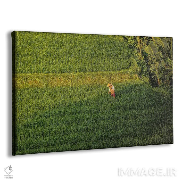 تابلو تراس زیبای برنج اندونزی شماره ۳ اثر الکس جی پرز - نمای پرسپکتیو محصول