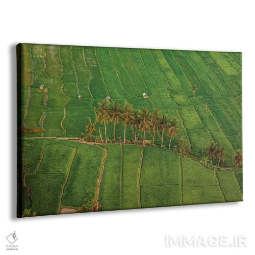 تابلو تراس زیبای برنج اندونزی شماره ۴ اثر الکس جی پرز - نمای پرسپکتیو محصول