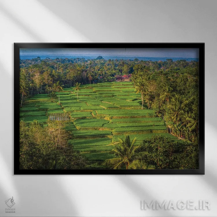 تابلو تراس زیبای برنج اندونزی شماره ۲ اثر الکس جی پرز - نمای قابدار مشکی