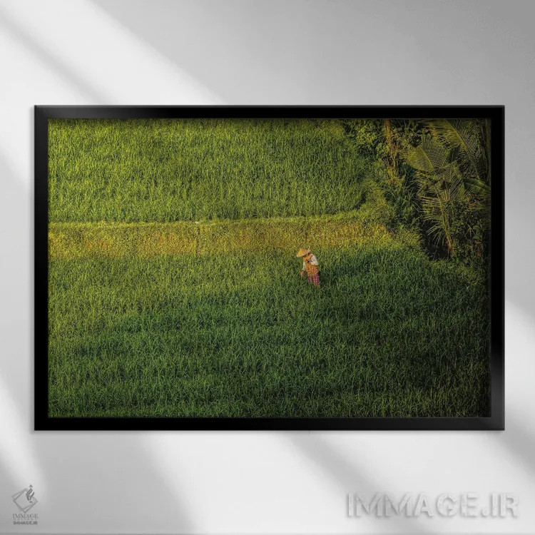 تابلو تراس زیبای برنج اندونزی شماره ۳ اثر الکس جی پرز - نمای قابدار مشکی