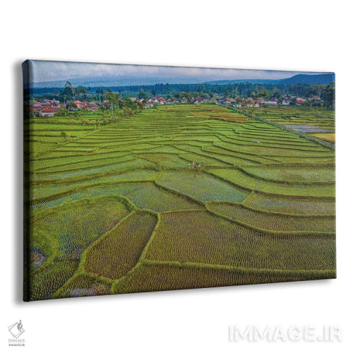 تابلو مزرعه برنج تراسدار اندونزی شماره ۱ اثر الکس جی پرز - نمای پرسپکتیو محصول