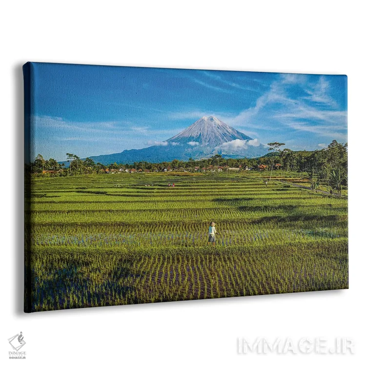 تابلو مزرعه برنج تراسدار اندونزی شماره ۲ اثر الکس جی پرز - نمای پرسپکتیو محصول