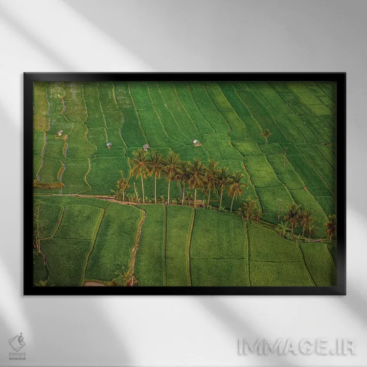 تابلو تراس زیبای برنج اندونزی شماره ۴ اثر الکس جی پرز - نمای قابدار مشکی