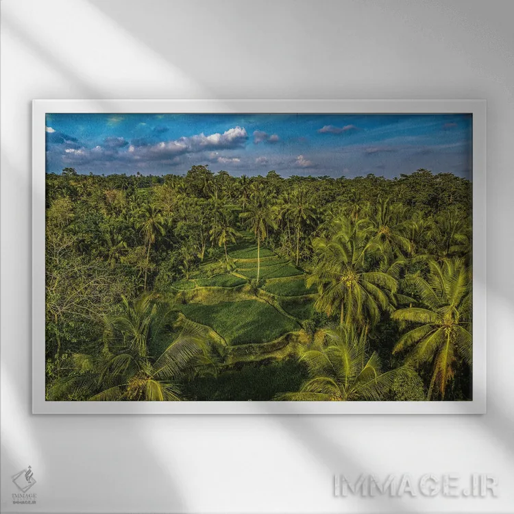 تابلو تراس زیبای برنج اندونزی شماره ۱ اثر الکس جی پرز - نمای قابدار سفید