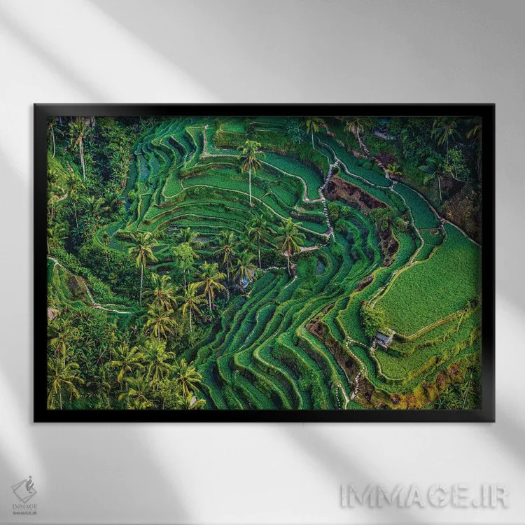 تابلو تراس زیبای برنج اندونزی شماره ۵ اثر الکس جی پرز - نمای قابدار مشکی