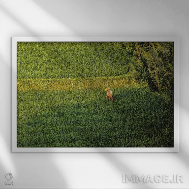 تابلو تراس زیبای برنج اندونزی شماره ۳ اثر الکس جی پرز - نمای قابدار سفید