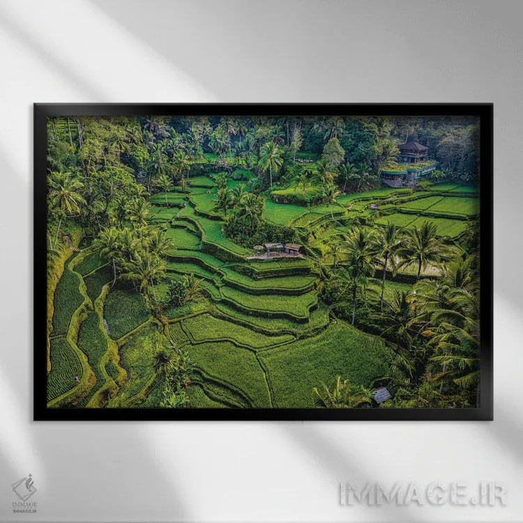 تابلو تراس زیبای برنج اندونزی شماره ۶ اثر الکس جی پرز - نمای قابدار مشکی