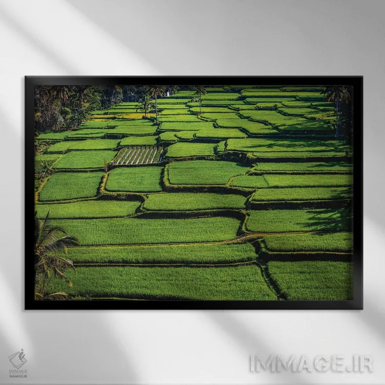 تابلو تراس زیبای برنج اندونزی شماره ۷ اثر الکس جی پرز - نمای قابدار مشکی