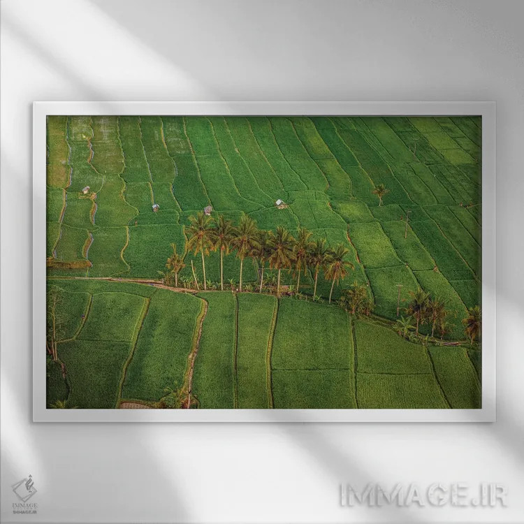 تابلو تراس زیبای برنج اندونزی شماره ۴ اثر الکس جی پرز - نمای قابدار سفید