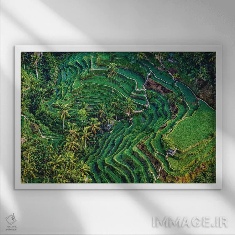 تابلو تراس زیبای برنج اندونزی شماره ۵ اثر الکس جی پرز - نمای قابدار سفید