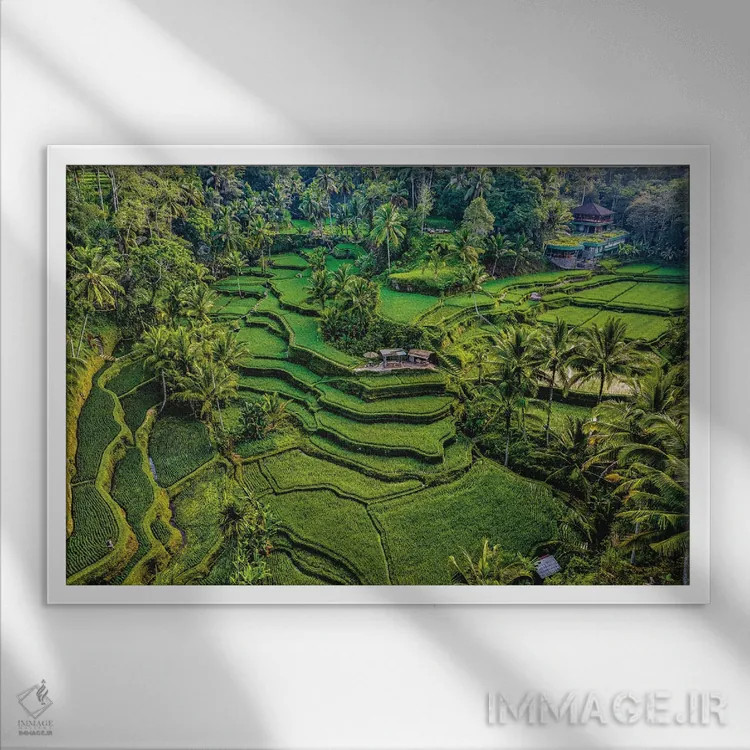 تابلو تراس زیبای برنج اندونزی شماره ۶ اثر الکس جی پرز - نمای قابدار سفید