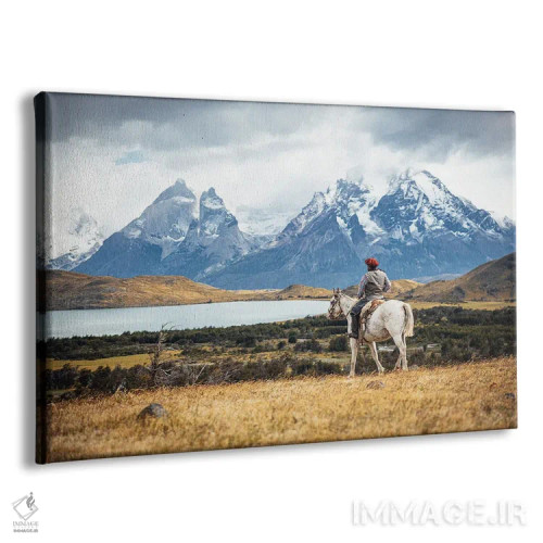 تابلو گاچو (اسبسوار) پاتاگونیا روی اسب اثر الکس جی پرز - نمای پرسپکتیو محصول