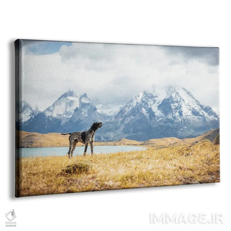 تابلو نمای کوهستان پاتاگونیا با سگ اثر الکس جی پرز - نمای پرسپکتیو محصول