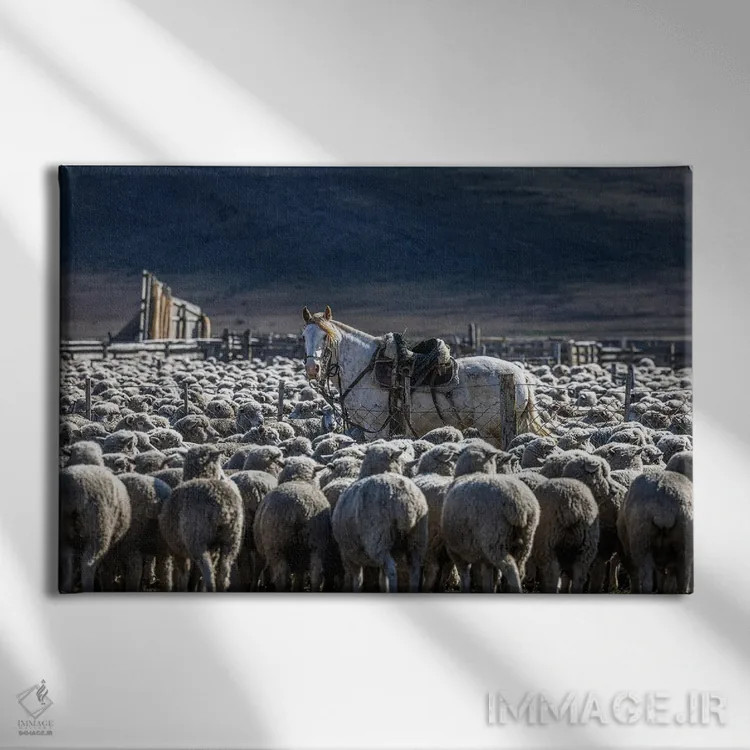 تابلو اسب و گوسفند در پاتاگونیا اثر الکس جی پرز - نمای روبهرو روی دیوار
