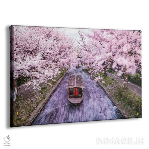 تابلو قایق روی رودخانه شکوفههای گیلاس ژاپن V اثر الکس جی پرز - نمای پرسپکتیو محصول