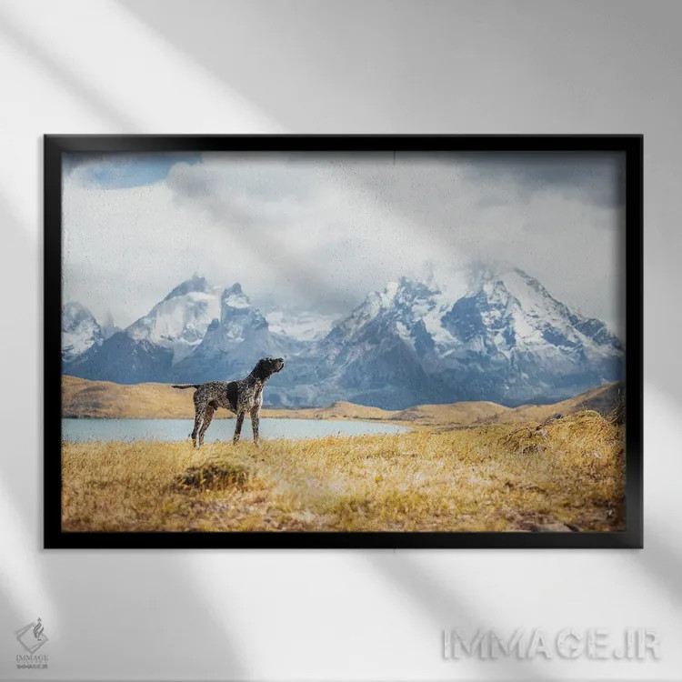 تابلو نمای کوهستان پاتاگونیا با سگ اثر الکس جی پرز - نمای قابدار مشکی
