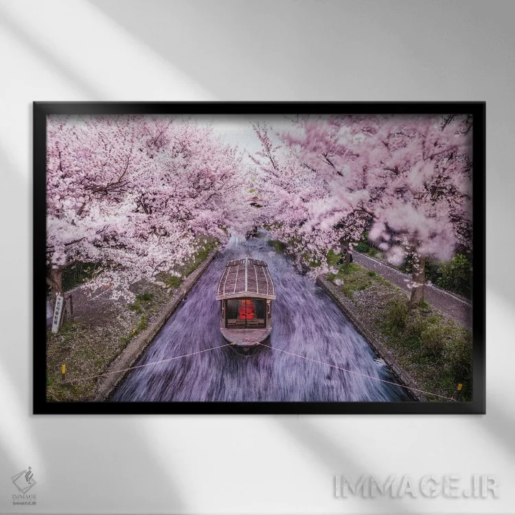 تابلو قایق روی رودخانه شکوفههای گیلاس ژاپن V اثر الکس جی پرز - نمای قابدار مشکی