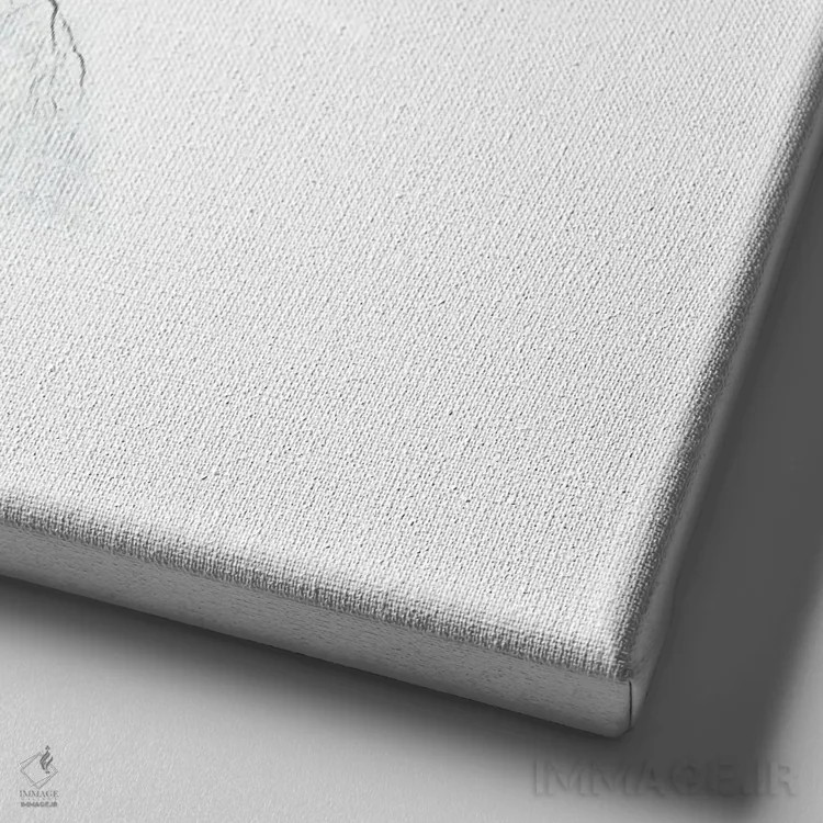 تابلو جک (نام خاص یا نوع سگ) اثر آنا چر - نمای نزدیک بافت بوم