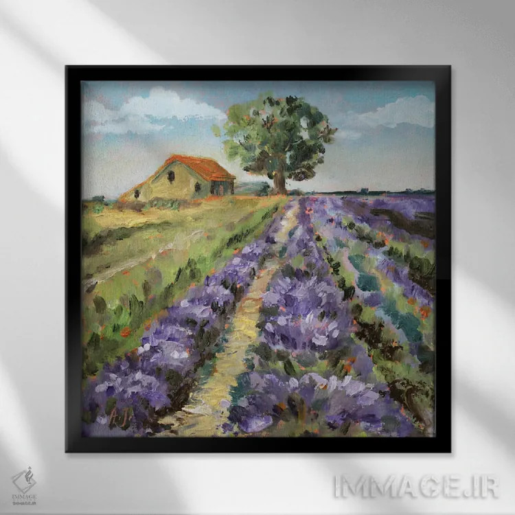 تابلو مزارع اسطوخودوس ایتالیا اثر الکساندرا جاگودا - نمای قابدار مشکی