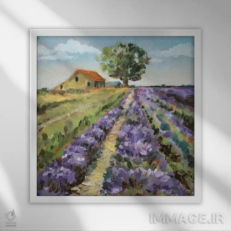 تابلو مزارع اسطوخودوس ایتالیا اثر الکساندرا جاگودا - نمای قابدار سفید