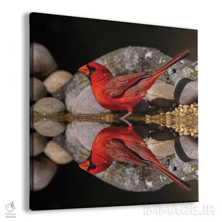 تابلو کارباورال شمالی و بازتاب آن روی استخر کوچک، درهٔ ریو گرانده، تگزاس اثر آدام جونز - نمای پرسپکتیو محصول