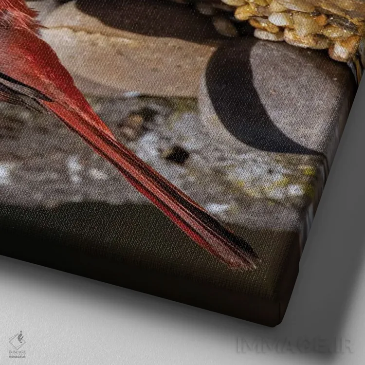 تابلو کارباورال شمالی و بازتاب آن روی استخر کوچک، درهٔ ریو گرانده، تگزاس اثر آدام جونز - نمای نزدیک بافت بوم