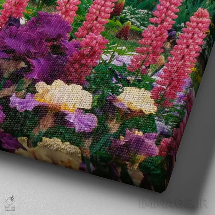 تابلو مزرعه زنبق و لوپین، پارک ملی گرند تتون، شهرستان تتون، وایومینگ، آمریکا اثر آدام جونز - نمای نزدیک بافت بوم