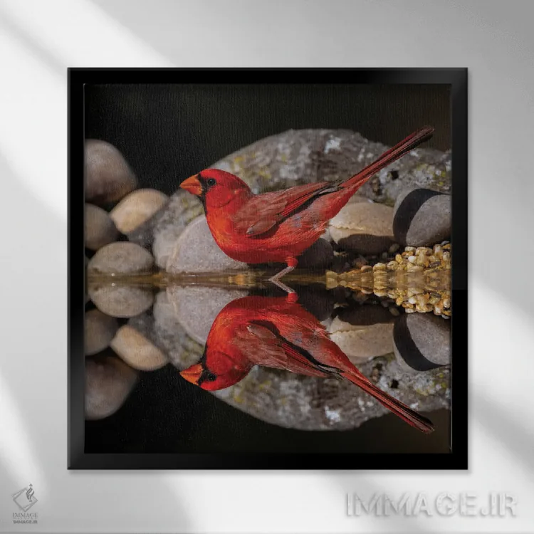 تابلو کارباورال شمالی و بازتاب آن روی استخر کوچک، درهٔ ریو گرانده، تگزاس اثر آدام جونز - نمای قابدار مشکی