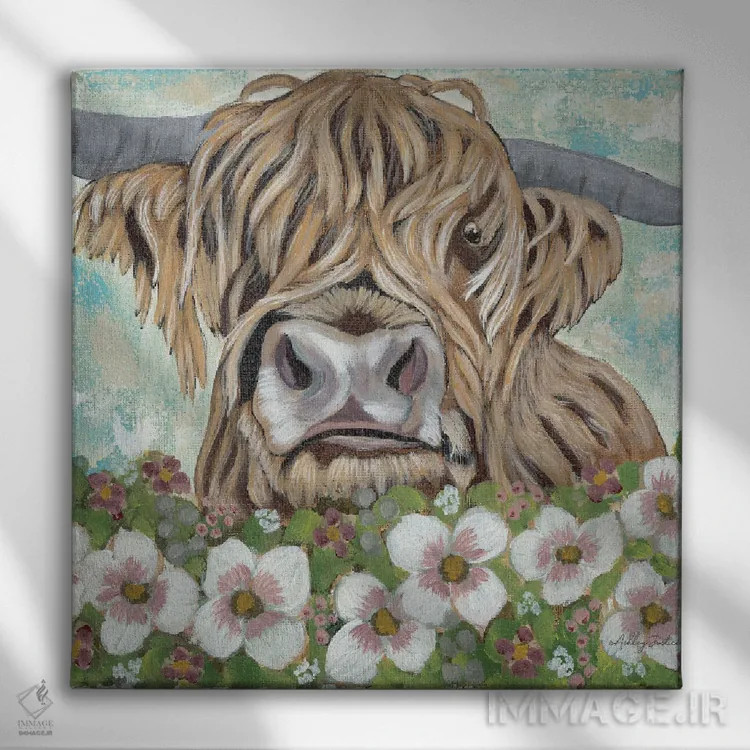 تابلو گاو کوهستانی گلدار اثر اشلی جاستیس - نمای روبهرو روی دیوار